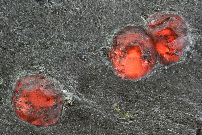 Plate Of Red Embers Garnets in Graphite - Massachusetts #111882